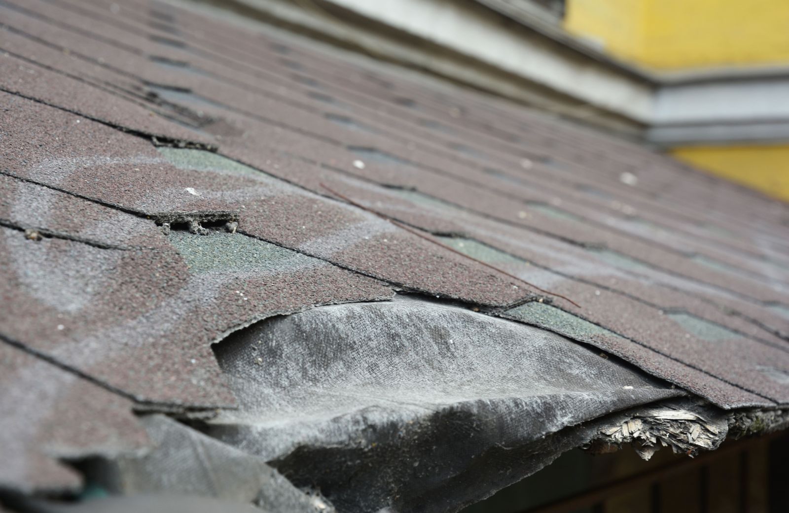 Precision Elite Roofing Images