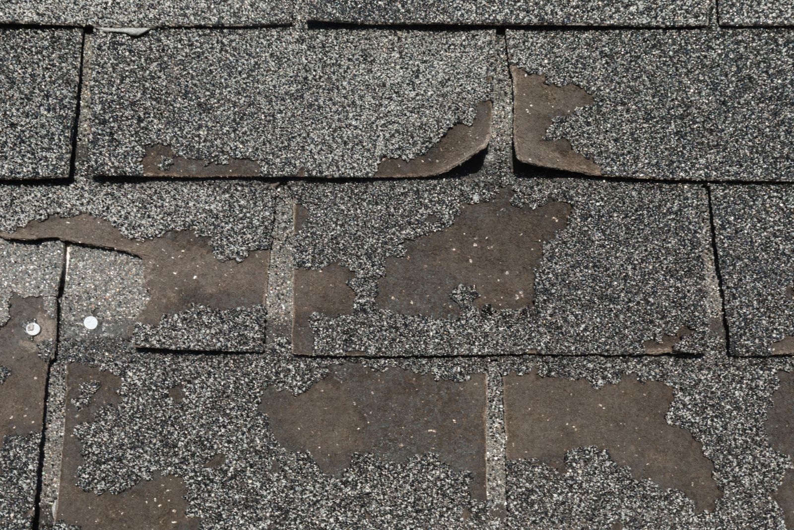 Precision Elite Roofing Images